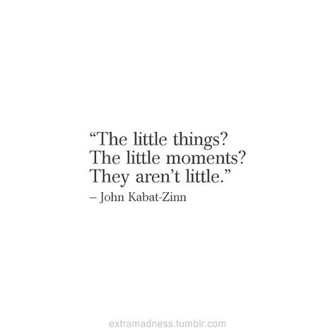 The little things? The little moments? They aren't little. -Jon Kabat-Zinn Quote #quote #quotes #inspiration #quoteoftheday Life Quotes Love, Visual Statements, Wonderful Words, The Little Things, A Quote, Pretty Words, Cute Quotes, Relatable Quotes, Great Quotes