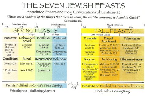 feasts prophecy | In Leviticus 23, the Lord appointed seven feasts as yearly rehearsals ... Leviticus 23, Jewish Feasts, Materi Bahasa Inggris, Feasts Of The Lord, Messianic Jewish, Jewish Calendar, Feast Of Tabernacles, Jewish Festivals, Bible Study Help