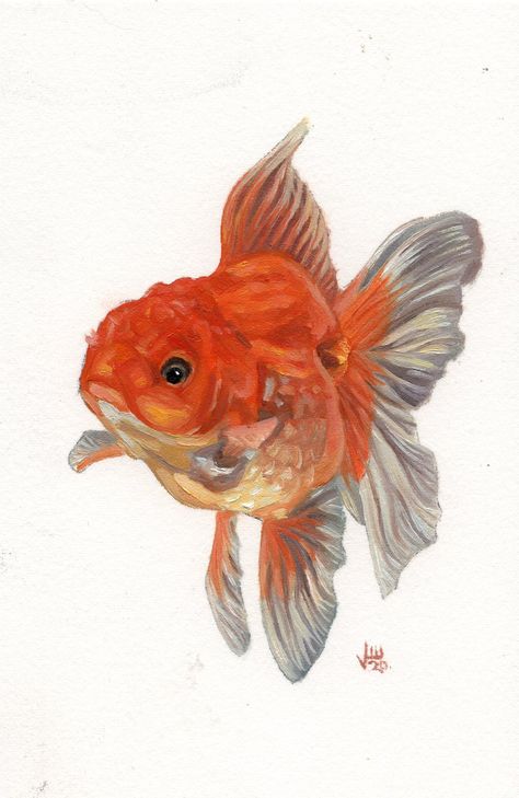 Realistic Fish Painting, Gold Fish Painting Acrylics, Gold Fish Drawing Easy, Fish People Art, Fish With Legs Drawing, Gold Fish Sketch, Goldfish Art Illustrations, Gold Fish Illustration, Gold Fish Drawing