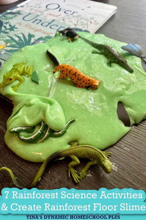 Rainforest Activities Preschool Science Experiments, Jungle Theme Stem Activities, Rainforest Experiments For Kids, Rainforest Playdough, Amazon Rainforest Activities, Rainforest Science Experiments For Kids, Rainforest Party Ideas, Jungle Science Experiments, Rainforest Art Preschool