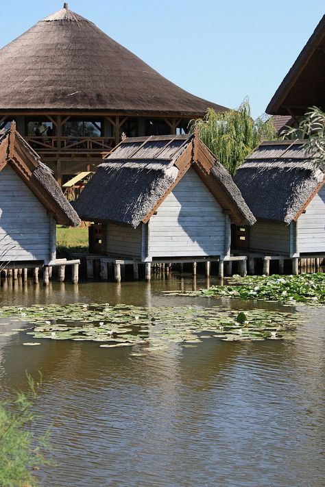 Danube Delta, Romanien                                                                                                                                                      More Romanian Culture, Danube Delta, Visit Romania, Wildlife Reserve, Tourist Places, Black Sea, Scenic Landscape, Backyard Landscaping Designs, Traditional House