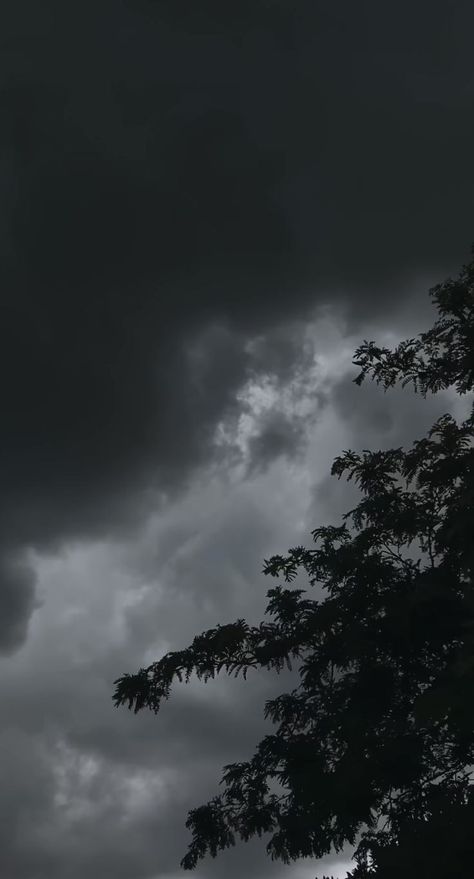 Rainy sky Trees, Dark Clouds, The Sky