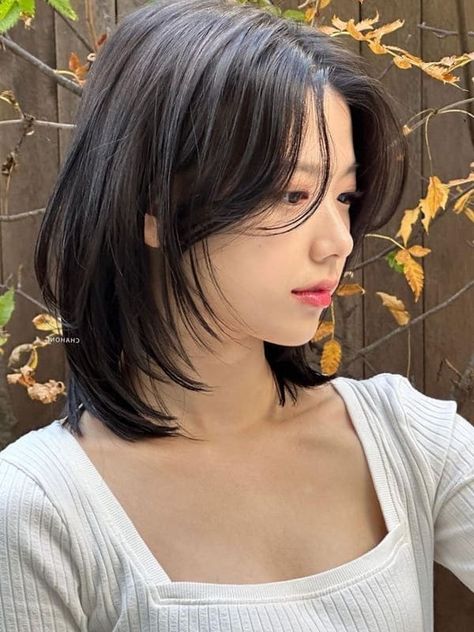 layered shoulder length hair with curtain bangs Korean Short Hair, Layered Haircuts For Medium Hair, Hair Inspiration Short, Asian Short Hair, Short Hair Syles, Shoulder Length Hair Cuts, Shot Hair Styles, Haircuts For Medium Hair, 짧은 머리