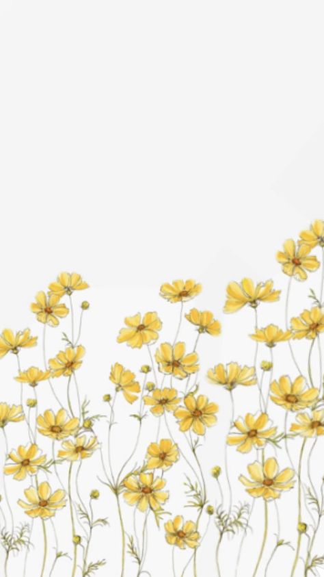 Pale Yellow Wallpaper Aesthetic, Flower Yellow Wallpaper, Wallpaper Backgrounds Yellow Aesthetic, White And Yellow Flowers Aesthetic, Phone Wallpaper Yellow Aesthetic, Flower Background Yellow, Pastel Yellow Flowers Aesthetic, Yellow Floral Wallpaper Iphone, Wildflower Lockscreen