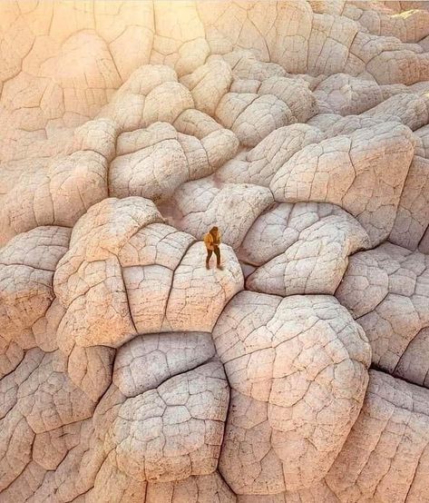 Amazing Nature, Vermillion Cliffs, Matka Natura, Utah Travel, Arizona Travel, National Monuments, Natural Wonders, Travel Usa, Geology