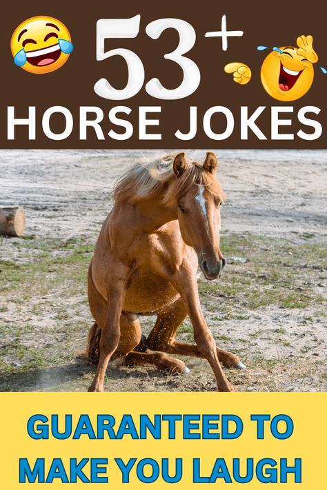 Horse Jokes for Kids – Guaranteed to Make You Laugh! Horse Training, Equestrian Funny, Horse Quotes Funny, Horse Jokes, Horse Dance, Horse Camp, Show Horse, Horse Training Tips, Horse Party