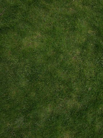 Photoshop Tutorial: How to create a tileable grass textures with the Pattern Filter » tonytextures.com Grass Texture Seamless, Grass Texture, Photoshop Landscape, Game Textures, Grass Pattern, Grass Textures, Tree Textures, Photoshop Resources, Carpet Texture