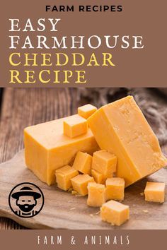 Cheese Recipes Homemade, Cheddar Recipes, Cheddar Cheese Recipes, Cheese Making Recipes, Farm Recipes, Goat Milk Recipes, Recipes Cheese, Diy Cheese, Easy Cheese Recipes