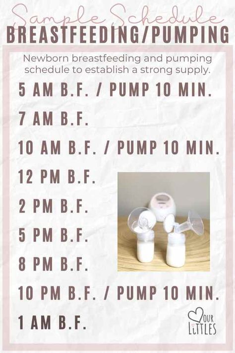 Newborn Pump Schedule, Newborn Feeding And Pumping Schedule, Newborn Nursing And Pumping Schedule, Pumping Feeding Schedule, Feed And Pump Schedule, Pumping And Feeding Schedule Newborn, First Time Pumping Tips, Nursing Pumping Schedule, Feeding And Pumping Schedule Newborn