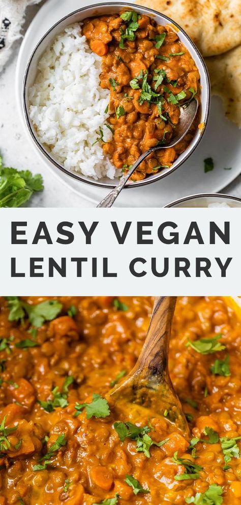 Veggie Lentil Curry, Lentils With Curry, Easy Curry Lentil Recipes, Lentil One Pot Recipes, Lentils Over Rice, Lentils Healthy Recipe, Healthy Dinner Recipes Lentils, Flavorful Lentil Recipes, Rice And Lentils Recipe Vegan