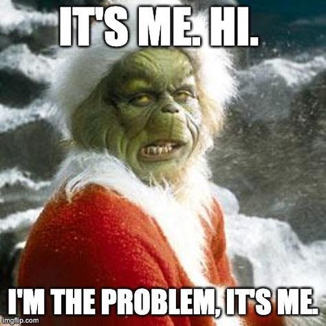 Grinch Memes, O Grinch, Jim Carrey Quotes, Grinch Stuff, Le Grinch, Grinch Quotes, The Grinch Movie, Mr Grinch, Grinch Who Stole Christmas