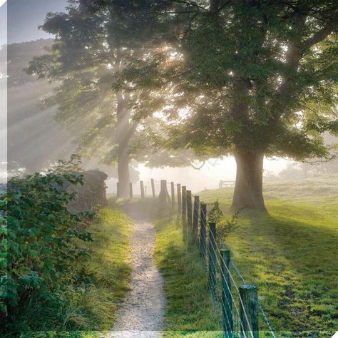 The cattle trail to Dale Dawson's house, Sabine, Book One of the Trilogy, by Phyllis H. Moore, https://www.Amazon.com/author/phyllishmoore Country Life, Belle Nature, Back Road, Green Gables, English Countryside, Farm Life, Belle Photo, Beautiful World, Beautiful Landscapes