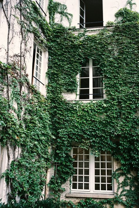 Untitled | by dearclaudia Façades, House Mansion, Ivy Wall, Birds Chirping, Exterior Architecture, Green Walls, House Beautiful, On The Run, The Run