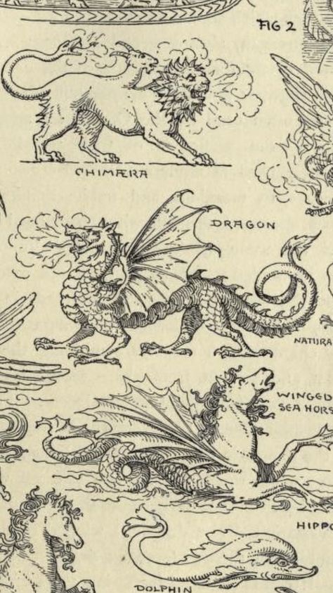 Welsh Dragon Illustration, Medieval Art Dragon, Dragonology Illustrations, Fairytale Dragon Tattoo, Dragon Vintage Illustration, Medieval Illustration Art, Medieval Engraving Illustrations, Medieval Manuscript Tattoo, Medieval Lion Tattoo