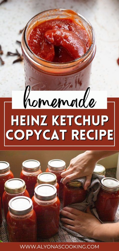 Canned Ketchup, Homemade Ketchup Recipes, Ketchup Recipe, Homemade Ketchup, Heinz Ketchup, Home Canning Recipes, Canning Vegetables, Homemade Pantry, Canning Food Preservation