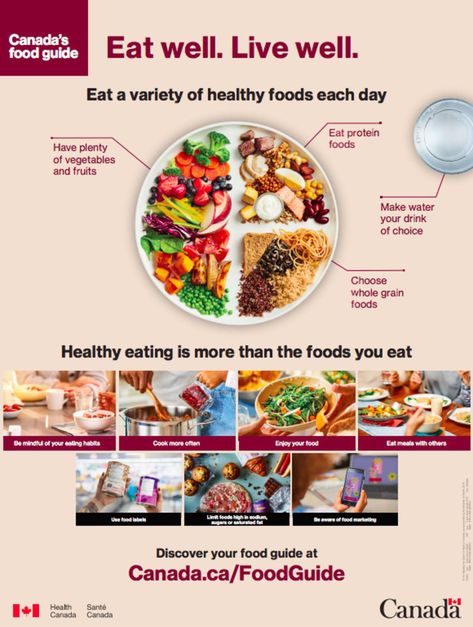 canada food guide 2019 Health Foods, Canada Food Guide, Guide Infographic, Whole Grain Foods, Canada Food, Healthy Food Guide, Breakfast Food List, Canadian Food, New Food