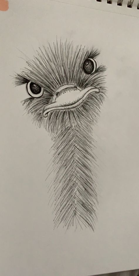 little ostrich friend :) #art #animalart #drawing #sketch Drawing Eyes, Easy Pencil Drawings, Friend Art, Organizator Grafic, Desen Realist, Siluete Umane, Cool Pencil Drawings, 흑백 그림, Pencil Drawings Easy