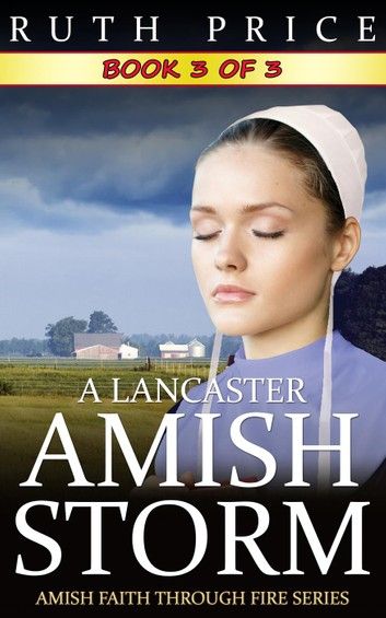 A Lancaster Amish Storm - Book 3: A Lancaster Amish Storm (... Amish Books Fiction, Cinderella Book, Amish Books, Books Fiction, Interesting Books, Early Reading, Christian Fiction, Lancaster County, Amish Country