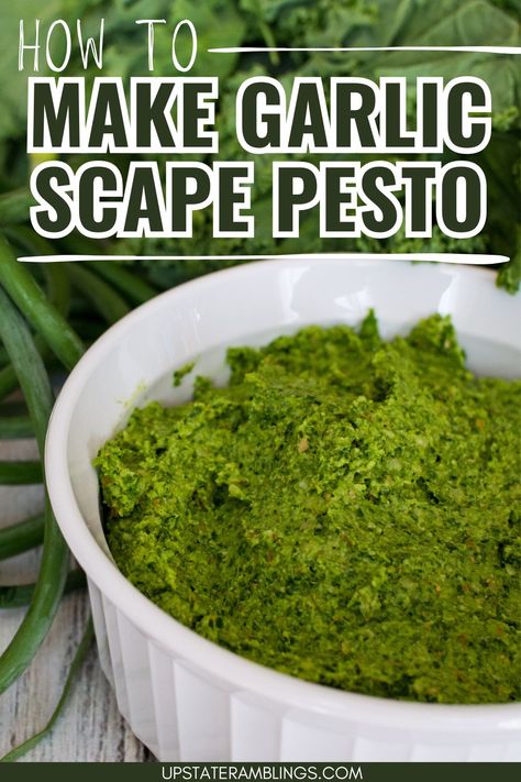 How to Make Garlic Scape Pesto Vegan Garlic Scape Pesto, Garlic Scape Pesto Recipes, Scape Pesto Recipe, Scape Pesto, Upstate Ramblings, Garlic Scape Pesto, Chives Recipe, Vegetable Boxes, Garlic Scapes