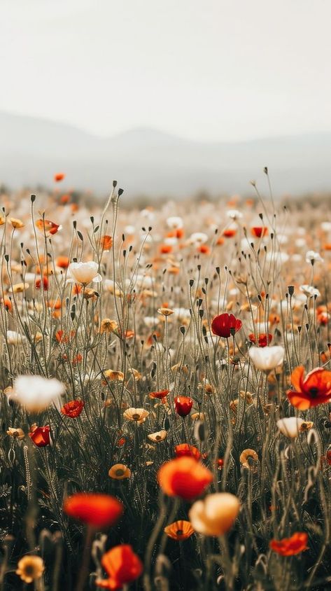 Aesthetic flower field photo landscape grassland outdoors. | premium image by rawpixel.com I Phone Backgrounds Iphone Wallpaper, Wildflowers Phone Wallpaper, Meadow Iphone Wallpaper, Landscape Photography Autumn, Photos Of Wildflowers, Fields Of Wildflowers, Ipad Wallpaper Wildflowers, May Iphone Wallpaper Phone Backgrounds, Aesthetic Flower Fields