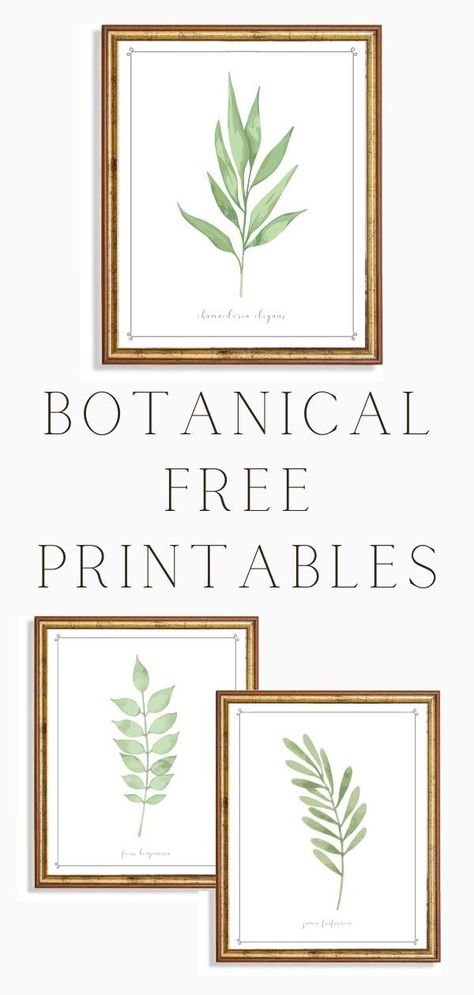 Plant Wall Art Printable, Plant Pictures Printable, Free Download Printables Wall Art Botanical Prints, Plant Prints Wall Art Free, Free Greenery Printables, Printable Plant Wall Art, Bedroom Print Ideas, High Resolution Art Printables, Landscape Free Printables