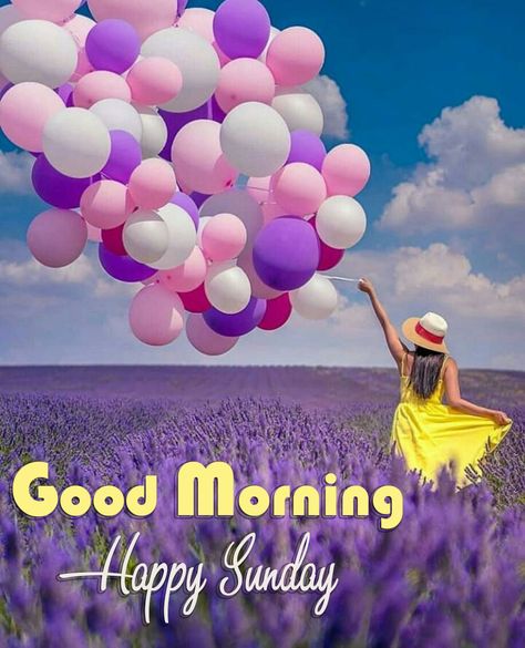 Happy Sunday Hd Images, Morning Sunday Images, Blessed Sunday Morning, Good Morning Friday Images, Good Evening Love, Happy Sunday Images, Good Morning Sunday, Good Morning Sunday Images, Sunday Morning Quotes