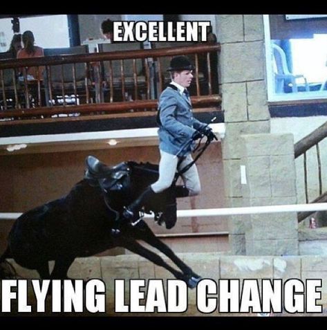 Flying lead change - whoops! Equestrian Memes, Funny Horse Memes, Horse Meme, Horse Memes, Horse Quotes Funny, Horse Jokes, Funny Horse Pictures, Inspirational Horse Quotes, Horse Riding Quotes