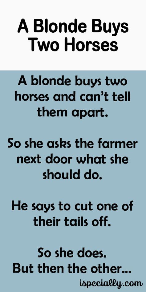 A Blonde Buys Two Horses Humour, Blonde Jokes Funny, Blond Jokes, Horse Jokes, Two Blondes, Jokes About Men, Horse Cartoon, Blonde Jokes, Funny Horses