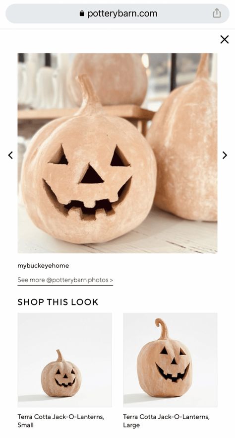 Painting Faux Stone, Craft Ideas Dollar Tree, Terracotta Pumpkins, Terracotta Painting, Pumpkin Decor Ideas, Dollar Store Pumpkin, Pumpkin Pottery, Pottery Barn Pumpkin, Pumpkin Paint