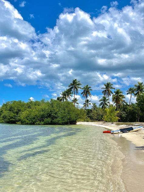 Beach in Puerto Rico, there’s big bushes and palm trees. Cabo Rojo Puerto Rico Beach, Puerto Rico Cabo Rojo, Summer In Puerto Rico, Puerto Rico Vacation Aesthetic, Flamenco Beach Puerto Rico, Puerto Rico Wallpaper, Purto Rico, Puerto Rico Aesthetic, Puerto Rico Beach