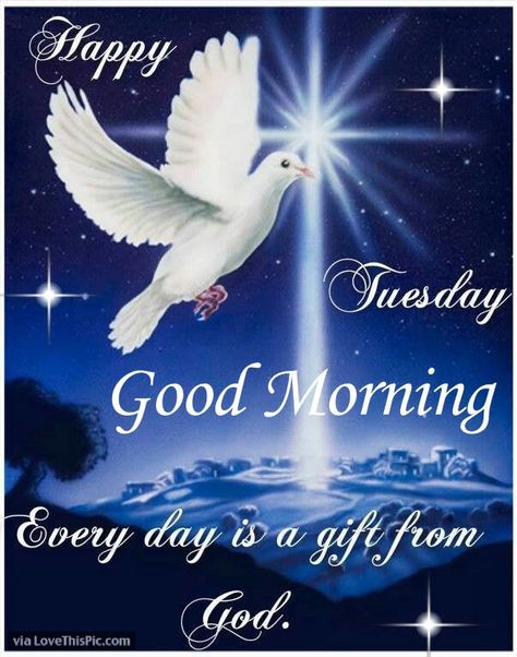 LoveThisPic offers Religious Happy Tuesday Good Morning Quote pictures, photos & images, to be used on Facebook, Tumblr, Pinterest, Twitter and other websites. Tuesday Quotes Good Morning, Dove Images, Holy Spirit Dove, Happy Tuesday Quotes, Dove Pictures, Morning Quotes Images, Saint Esprit, Good Morning Picture, Airbrush Art