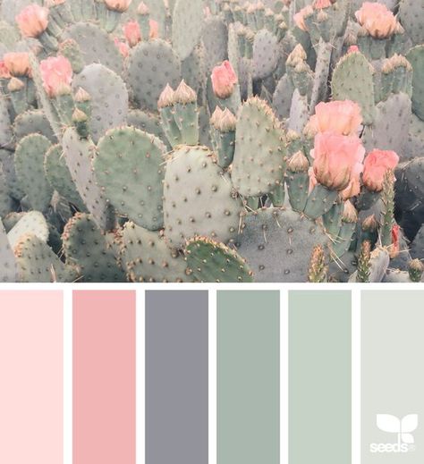 Design Seeds, Design Seed, Decor Studio, Color Schemes Colour Palettes, Pastel Colour Palette, Colour Pallette, Wedding Color Palette, Colour Pallete, Color Inspo