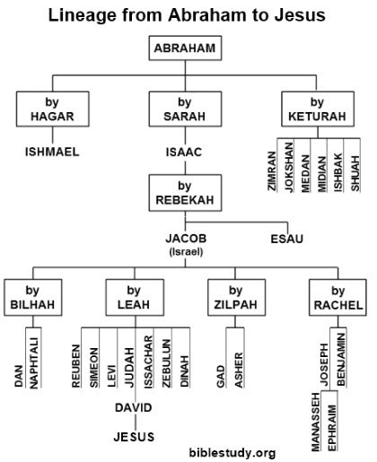 Abraham's Family Tree Large Chart Abraham Bible, Jesus Family Tree, Bible Family Tree, Bible Genealogy, Genealogy Of Jesus, Bible Mapping, Family Tree Chart, Bible Study Topics, Bible History