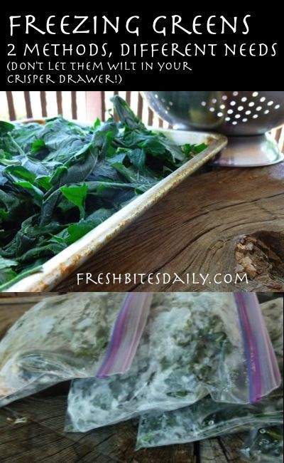 Freezer Cooking, Freezing Vegetables, Csa Recipes, Freeze Greens, Kale Recipes, Frozen Veggies, Garden Recipes, Swiss Chard, Chard