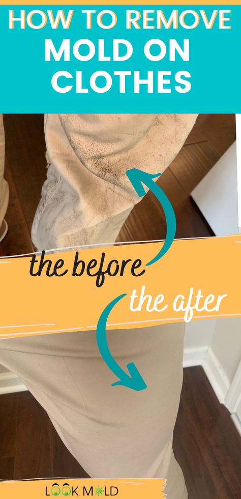 Getting Mold Out Of Clothes, How To Get Mold Stains Out Of Clothes, Get Mold Out Of Fabric, Mildew Stains On Clothes, Mold Removal From Fabric, Mold Stains Out Of Clothes, Removing Mold From Clothes, Get Mold Out Of Clothes, How To Remove Mold From Clothes