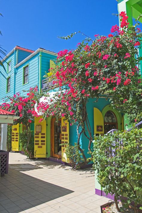 Cruz Bay, St. John Us Virgin Islands, Virgin Islands, St. John, Carribean Architecture, St John Usvi, Virgin Island, Ears Pierced, Bougainvillea, St Thomas