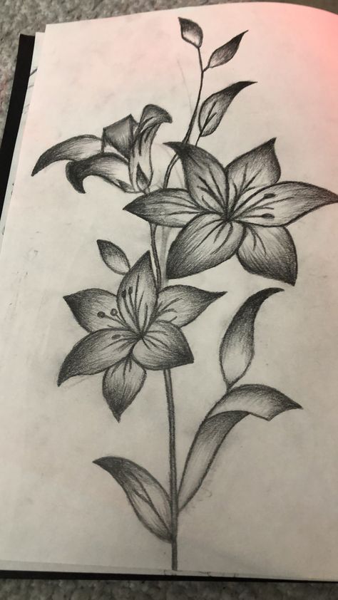 Shading Drawing Sketches Portraits, Shaded Flower Drawing, Simple Pencil Shading Drawings, Daylillies Drawing, Pencil Sketches Flowers, Roses Aesthetic Drawing, Easy Things To Sketch For Beginners, Flower Art Drawing Sketches Simple, Flower Collage Drawing