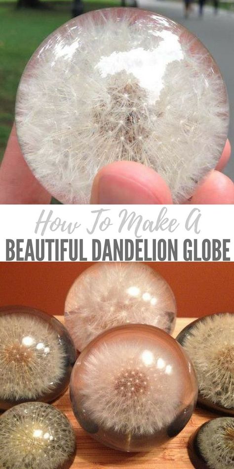 Cute Diy Crafts, Dandelion Paperweight, Kristina Webb, Hantverk Diy, Kerajinan Diy, Diy Boho Decor, Ge Bort, Diy Bricolage, Mason Jar Diy