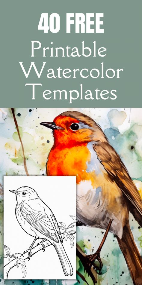 Picture To Watercolor, Pictures To Watercolor Paint, Free Watercolour Printables, Bird Pictures Art Paintings, Flowers To Paint Watercolor, Easy Watercolor Birds For Beginners, Abstract Landscape Watercolor Tutorial, Watercolour Outline Drawings, Art Inspiration Pictures