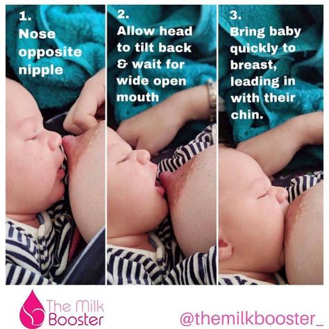 🗣Want to assist your baby in getting the proper LATCH? Check out this post from @themilkbooster_ it can help!! Repos Proper Latch Breastfeeding, Breastfeeding Weaning, Pregnancy Prep, Weekly Motivation, Milk Booster, Proper Latch, Baby Nose, Breastfeeding Latch, Gender Reveal Baby Shower Themes