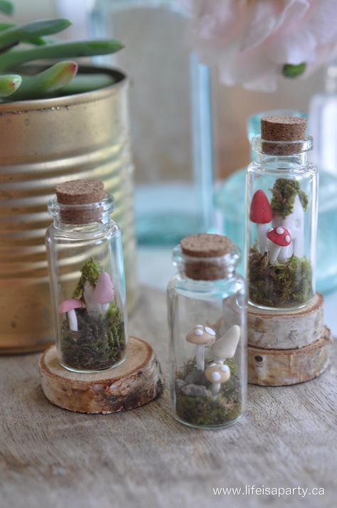 Tiny Glass Jars, Crafts With Glass Jars, Mini Glass Jars, Small Glass Jars, Tiny Jars, Small Glass Bottles, Fairy Garden Crafts, Miniature Fairy Garden, Fairy Jars