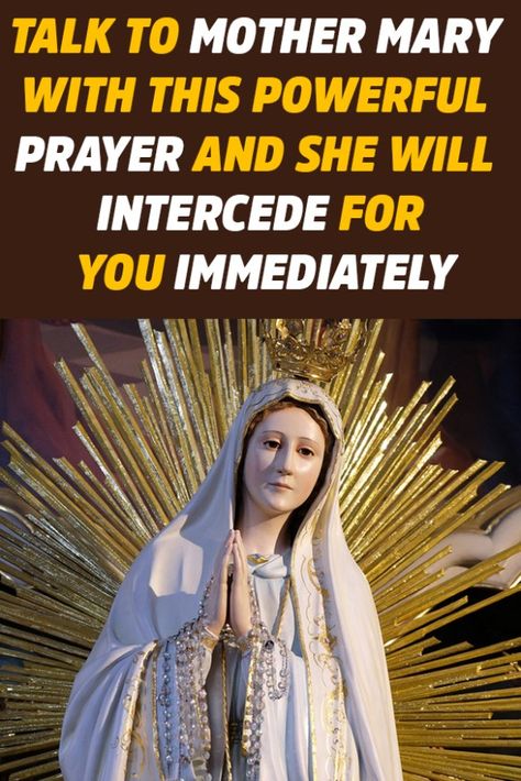 Catholic Prayers Daily, Hail Mary Prayer, Powerful Morning Prayer, Prayer For Mothers, Prayers To Mary, Novena Prayers, Powerful Prayers, Everyday Prayers, Angel Prayers