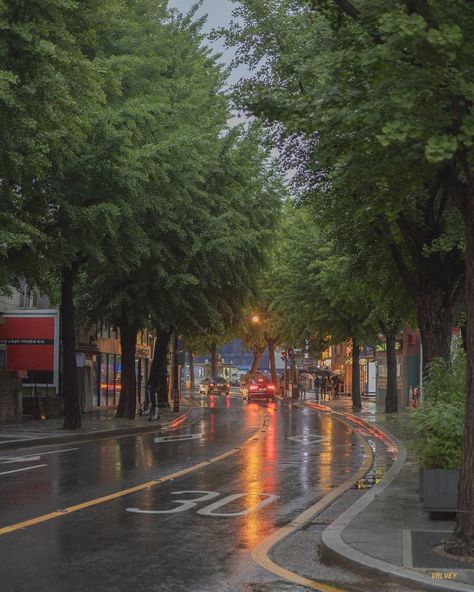 Nature, England Rainy Day, Rainy Day In Korea, Korean Rainy Day Aesthetic, Rainy Summer Day Aesthetic, Korea Rain Aesthetic, Rainy Washington Aesthetic, Korea Asthetic Picture, Korea Fall Aesthetic