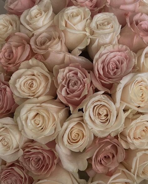 Pink And Beige Flowers, Pale Rose Aesthetic, Beige And Light Pink Aesthetic, Light Pink And Beige Aesthetic, Light Pink Aesthetic Widget Pictures, White And Pink Roses Aesthetic, Beige Rose Aesthetic, Tan Pink Aesthetic, Rose Beige Aesthetic