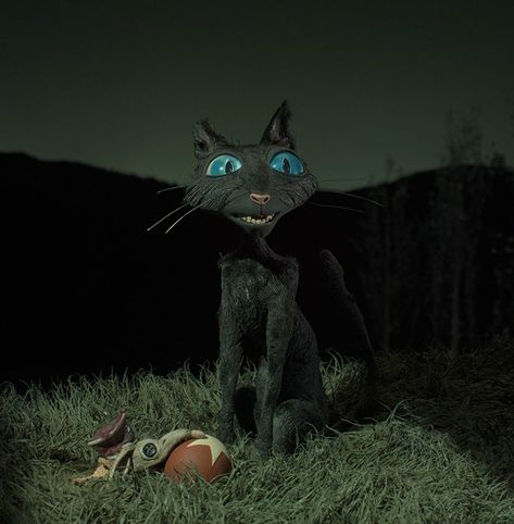 LAIKA Gives Behind-the-Scenes Look of their Pet Hospital for Coraline — GeekTyrant Black, Coraline Cat, Coraline, Black Cat, Green, Blue