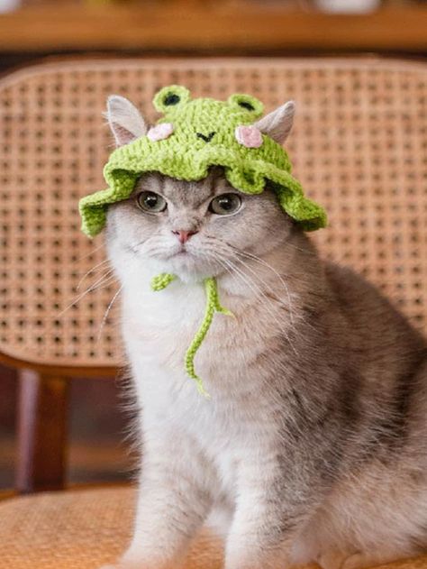 Amigurumi Patterns, Cute Cat Costumes, Christmas Party Costume, Rabbit Hat, Frog Hat, Crochet Cat Hat, Soft Cat, Canvas Hat, Dogs Small