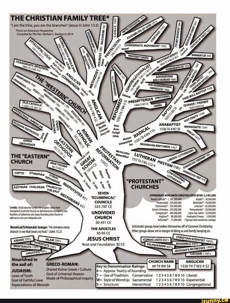 THE CHRISTIAN FAMILY TREE* "Lam the Vine, you are the branches" (Jesus in John 15.5) = *From an American Perspective Compiled by The Rev. Nathan L. Bostian in 2014 C.O.G.1.C. 1897 'DISPENSATIONAL BIBLE CHURCHES 19005 is IS SS $ we yBERAL 0 ANABAPTIST <o 1SBTEW79 MNCANTE pr "ry iREEK Knox ORTHODOX MORAVIAN BRETHREN 1457 Luthey > THE "EASTERN" CHURCH UTHER CHURCH OPIAN 52 SM 1799, S. z Yen! Ons 'hee "PROTESTANT" "ASSYRIAN CHALDEAN CHuRcH OF CHURCHES EAST Nes, "ECUMENICAL 'APPROKIMATE WORLDWIDE CHR Mocking Bird, Study Topics, John 15 5, Christian Denomination, Infographic Map, Christian Family, Christian Traditions, Bible Study Tools, Church History