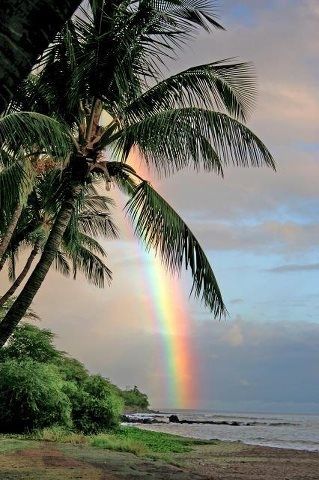 rainbow over the beach in Hawaii // pictures of Hawaiian landscapes Image Arc En Ciel, Rugby Art, Rainbow Pictures, Under The Rainbow, Rainbow Photo, Rainbow Magic, Rainbow Sky, Love Rainbow, Beautiful Rainbow