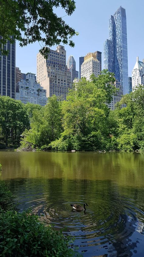 Central Park New York City New York Aesthetic, New York Places Aesthetic, New York Park Aesthetic, Ny Central Park, New York Aesthetic Central Park, New York Park Central, Nyc Aesthetic Central Park, Spring In New York Aesthetic, Nyc Central Park Aesthetic