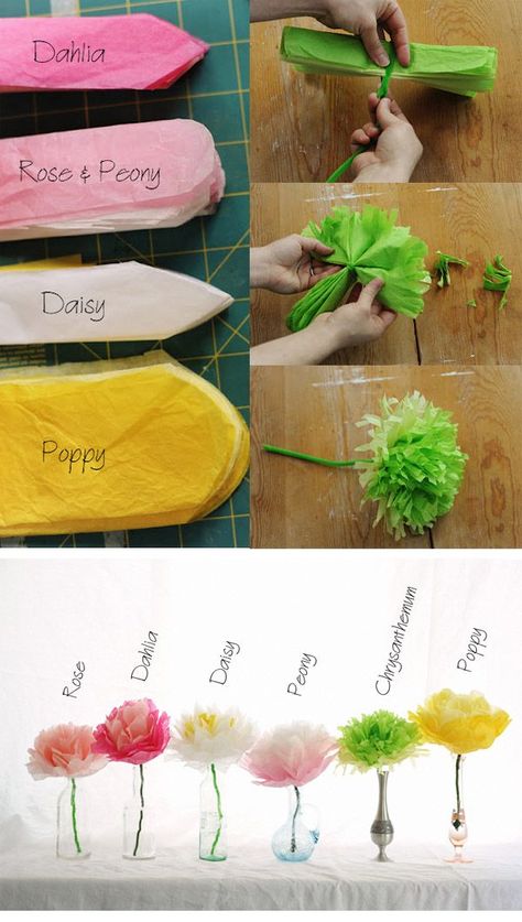 Tissue Paper Crafts